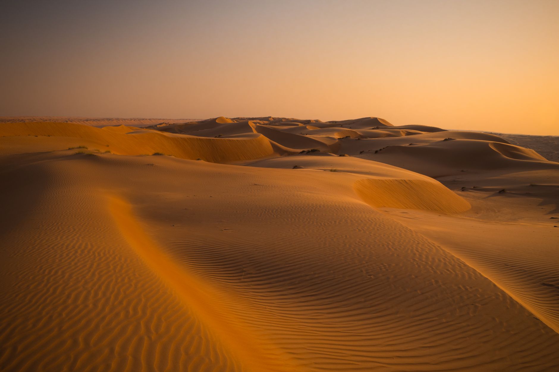 Golden dunes of Wahiba Sands